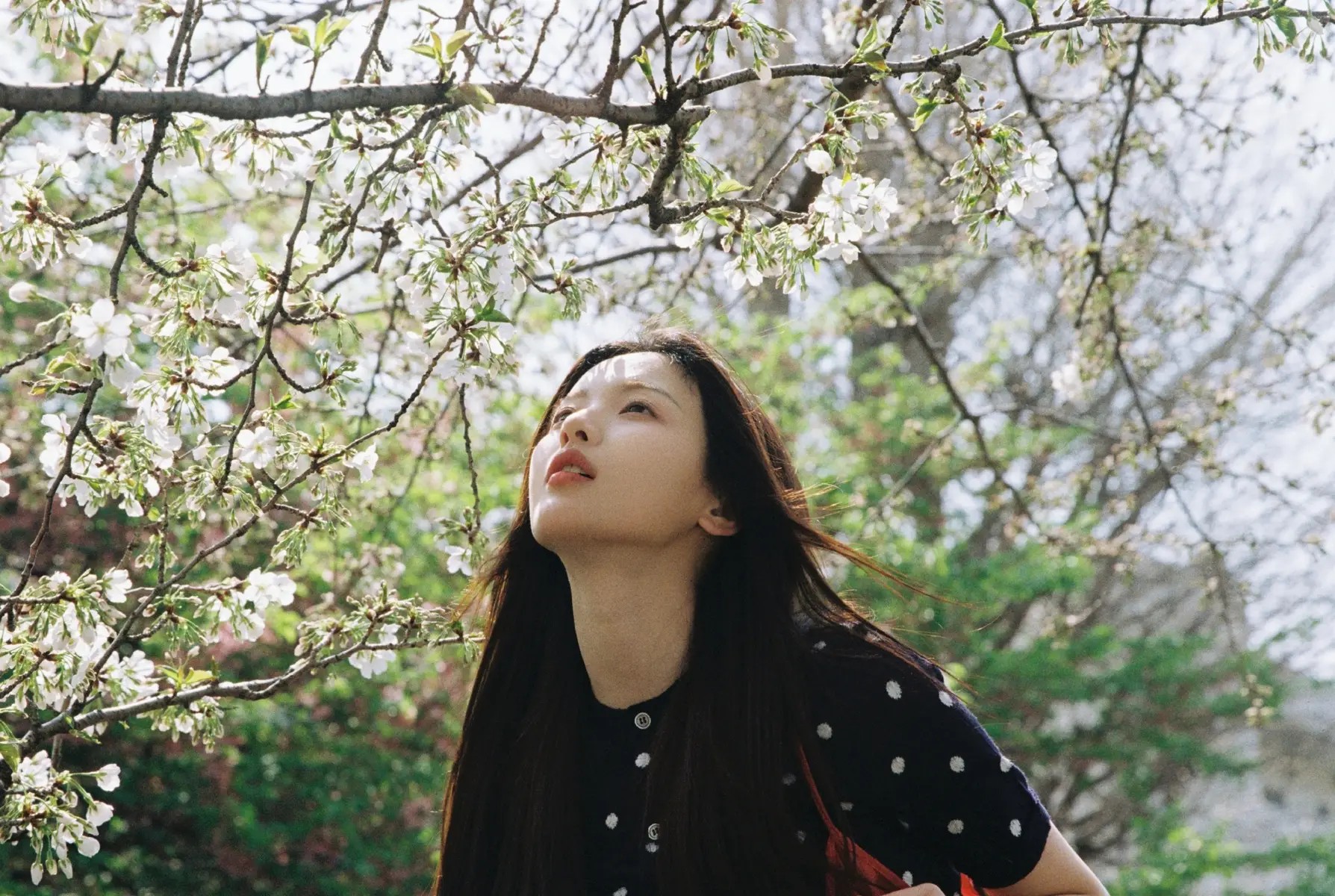 韩女星婚礼,知名男星晒出“接到新娘捧花”